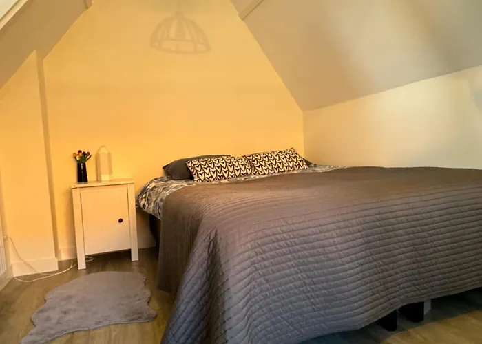 Hello - Zomerhuis Toekomststraat 8